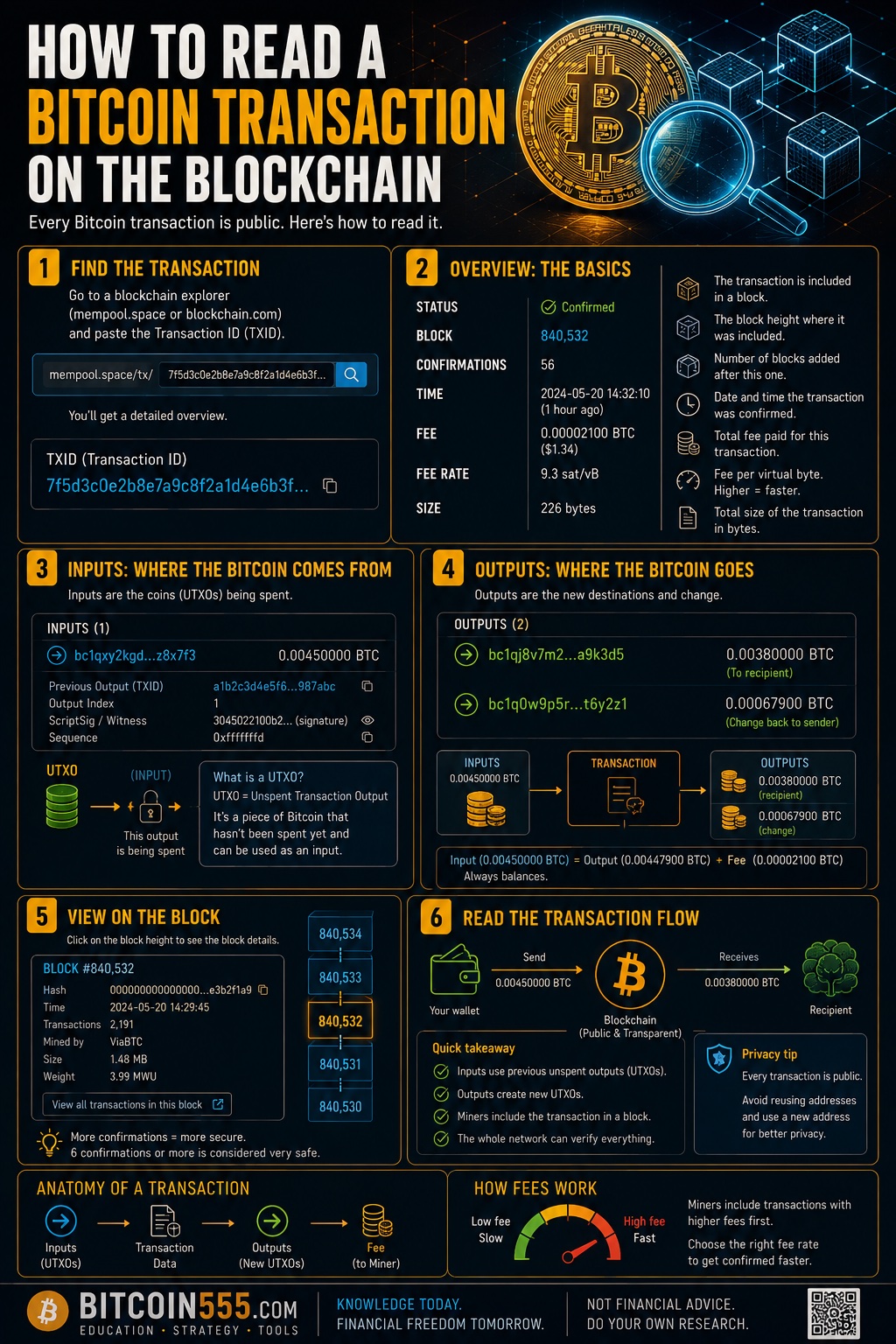 How to read a Bitcoin transaction infographic - inputs and outputs, transaction ID, confirmations, fees and how to use a block explorer to verify payments