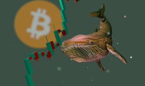 A conceptual illustration featuring a whale, a cryptocurrency candlestick chart, and the Bitcoin symbol, representing the recent substantial Bitcoin acquisitions by major investors.